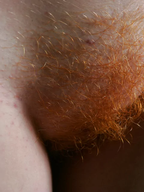 Bella peluria di zenzero
