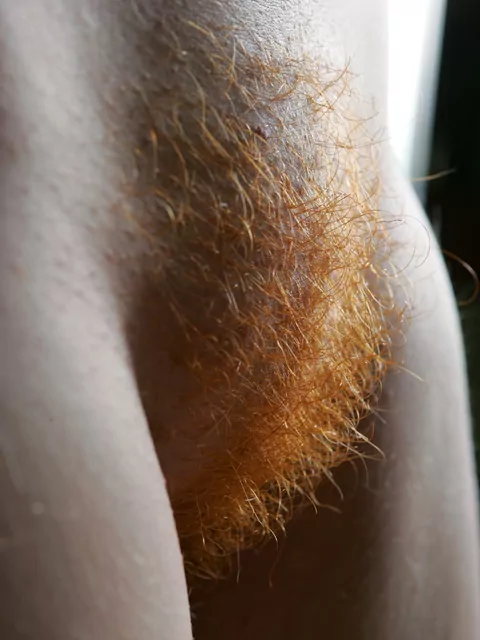 Bella peluria di zenzero